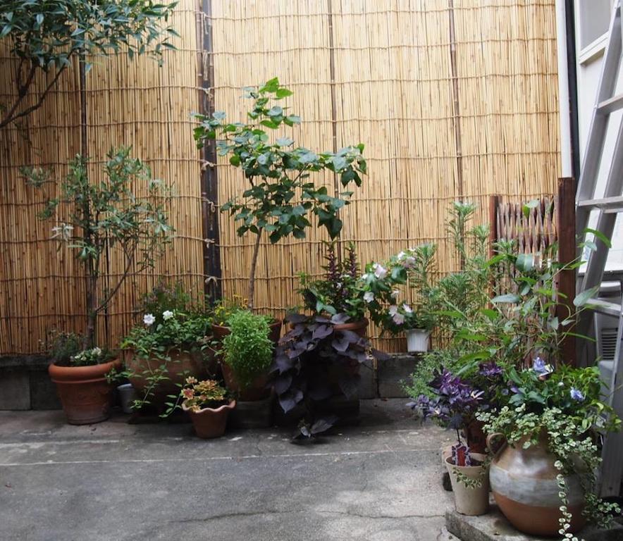 Guesthouse Usagi-Momiji Kioto Exterior foto